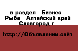  в раздел : Бизнес » Рыба . Алтайский край,Славгород г.